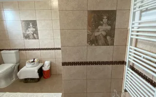 Vila  Frumoasa , individuala ,Sibiu ,7 camere , 5 Bai , mobilata ,utilata - Poză 50