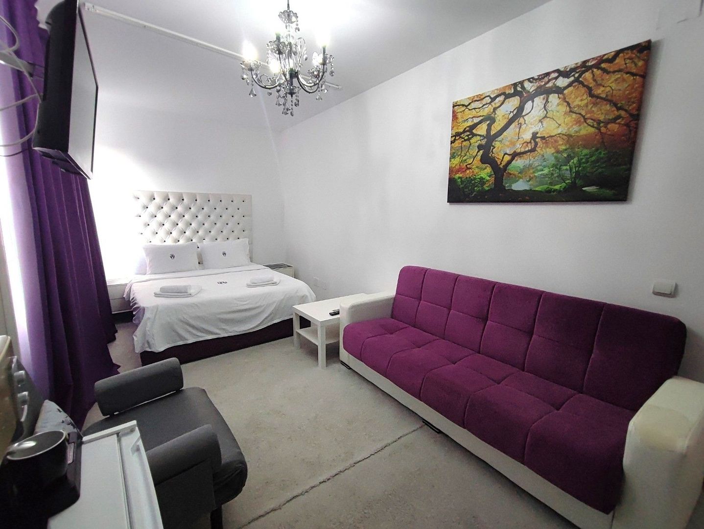 Hotel boutique | Pretabil cămin seniori, centru recuperare | Otopeni - Poză 5