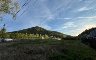 Teren la poalele Cetății Cisnadioarei de vânzare/1250 mp - Poză 9