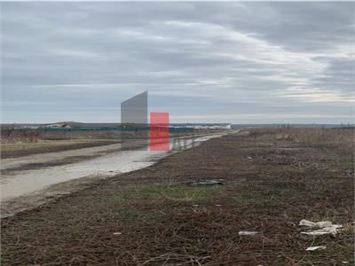 Vanzare Teren 3200mp  Cornetu  Ilfov - Poză 1