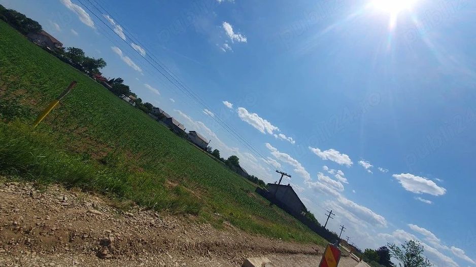 Teren intravilan 1.000 mp | Moara Vlăsiei | Strada Berzei - Poză 4