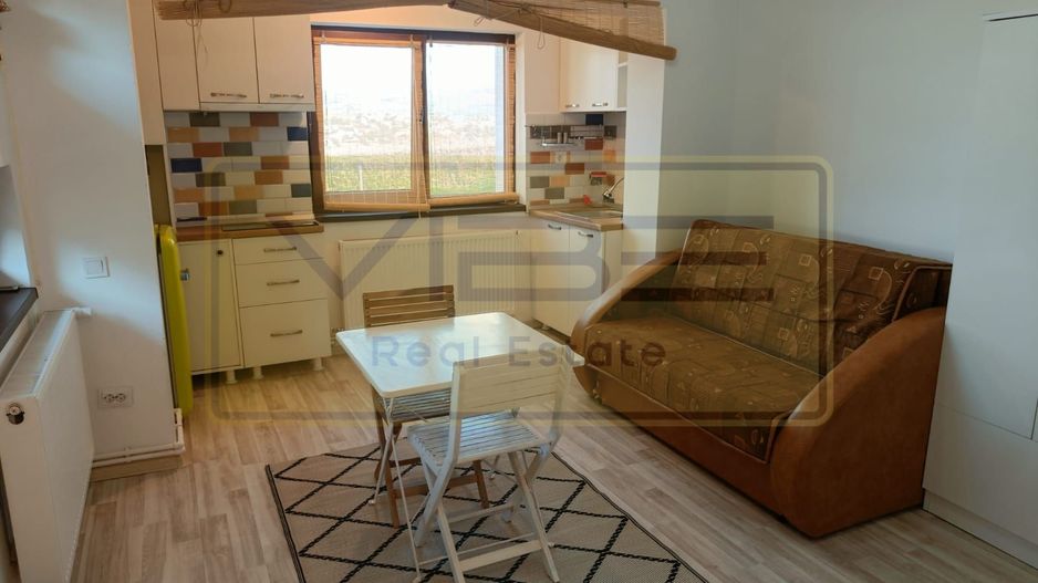 Garsoniera - 250 euro - Vișan ! - Poză 10