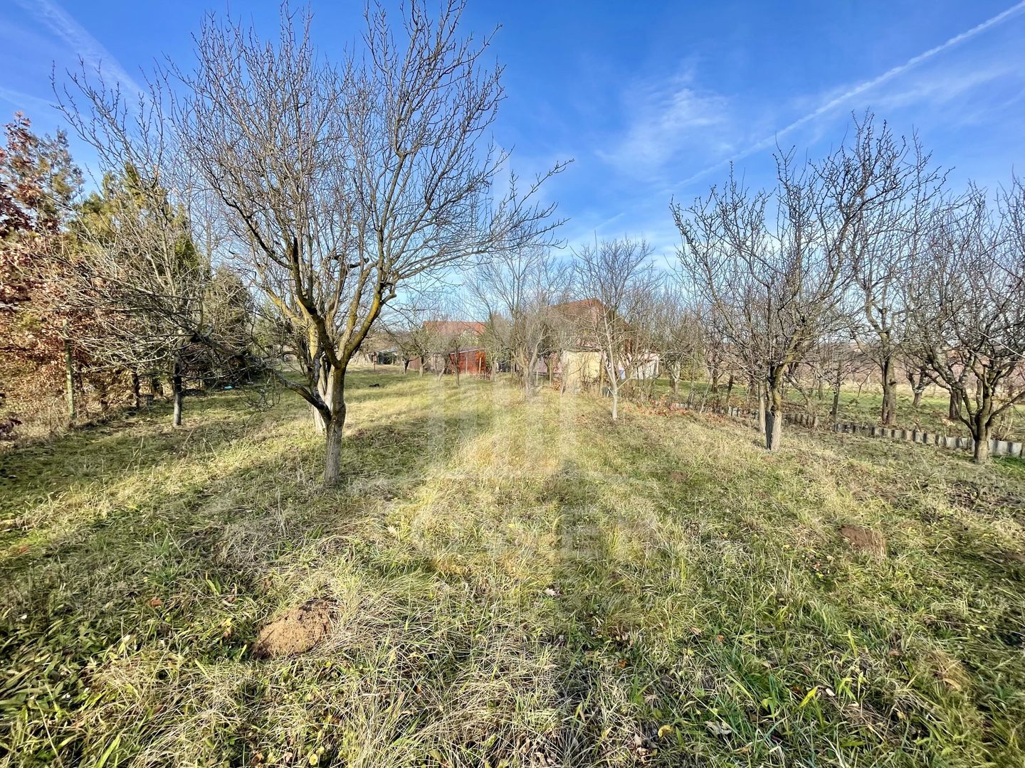 Teren intravilan 1.915 mp + cabană din lemn | Tocile – Sadu - Poză 2