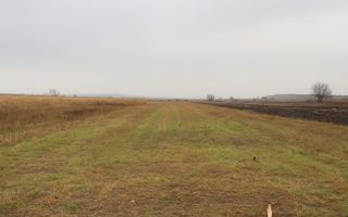Teren agricol | de vânzare | 5000 mp² | comuna Satu Mare - Poză 3