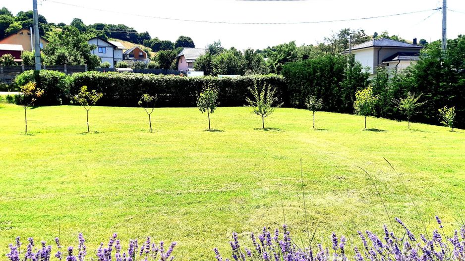 Casa traditionala de vis, aproape de Cluj-Napoca - Poză 20