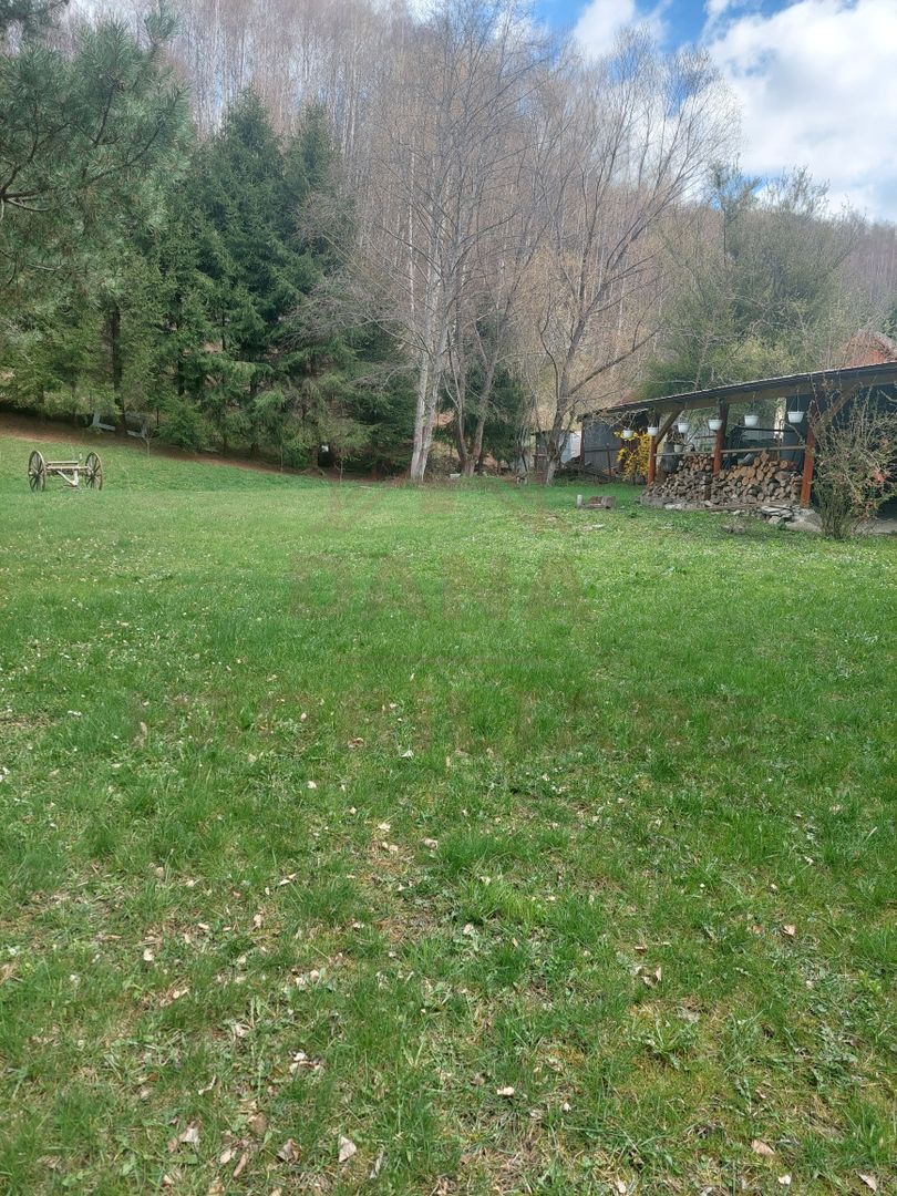 CASĂ DE VACANȚĂ 5 CAMERE,POINANA MĂRULUI, JUD.CARAȘ-SEVERIN - Poză 5