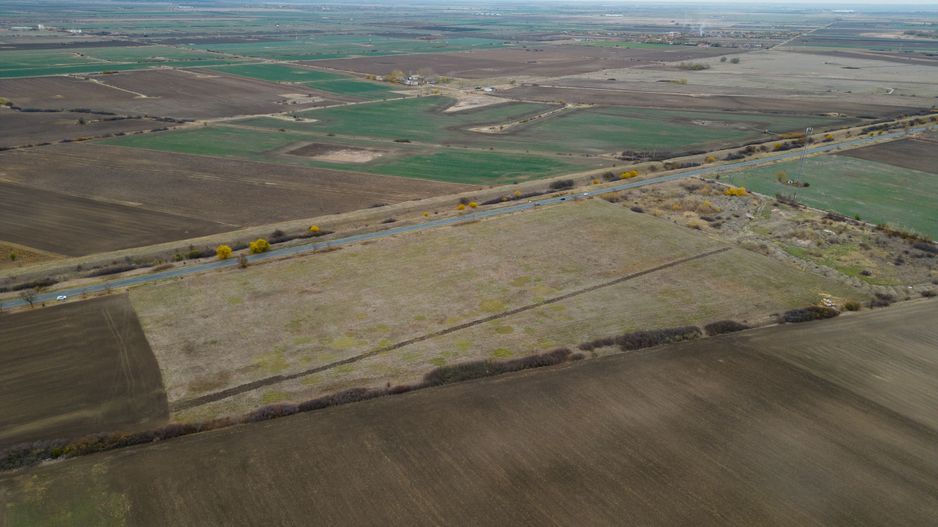 Teren 22.500 mp – Pecica, jud. Arad - Poză 7