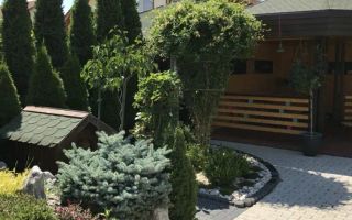 Vilă de închiriat | 4 camere |  Șelimbăr - Poză 6