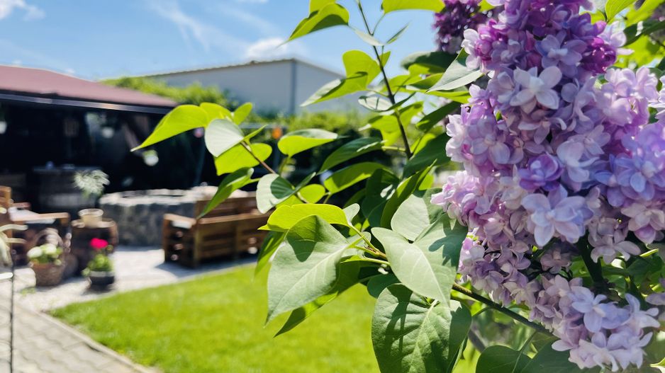 OFERTA VANDUTA - Casa Sacalaz - curte superba | 180 mp, 5 camere - Poză 10