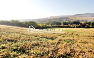 Teren 25.000 mp.  Comuna Voiniceni ,12 euro mp.comision ZERO - Poză 5