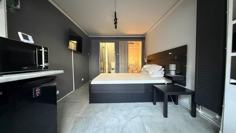 Garsoniera  I Victoriei- Bulevard Lascar Catargiu - Poză 2