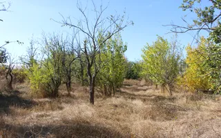 Casă individuală cu 4 camere în Burila Mare, jud. Mehedinți - Poză 30