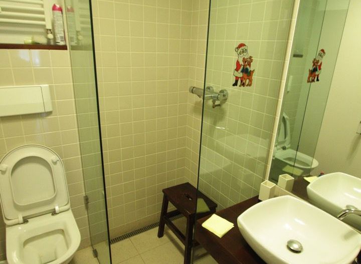 Apartament 3 camere - 120mp - garaj subteran - vila - Arcul de Triumf - Poză 3