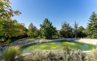 De vanzare casa unica pe teren de 3400mp, cu iaz si gradina - Borhanci - Poză 18