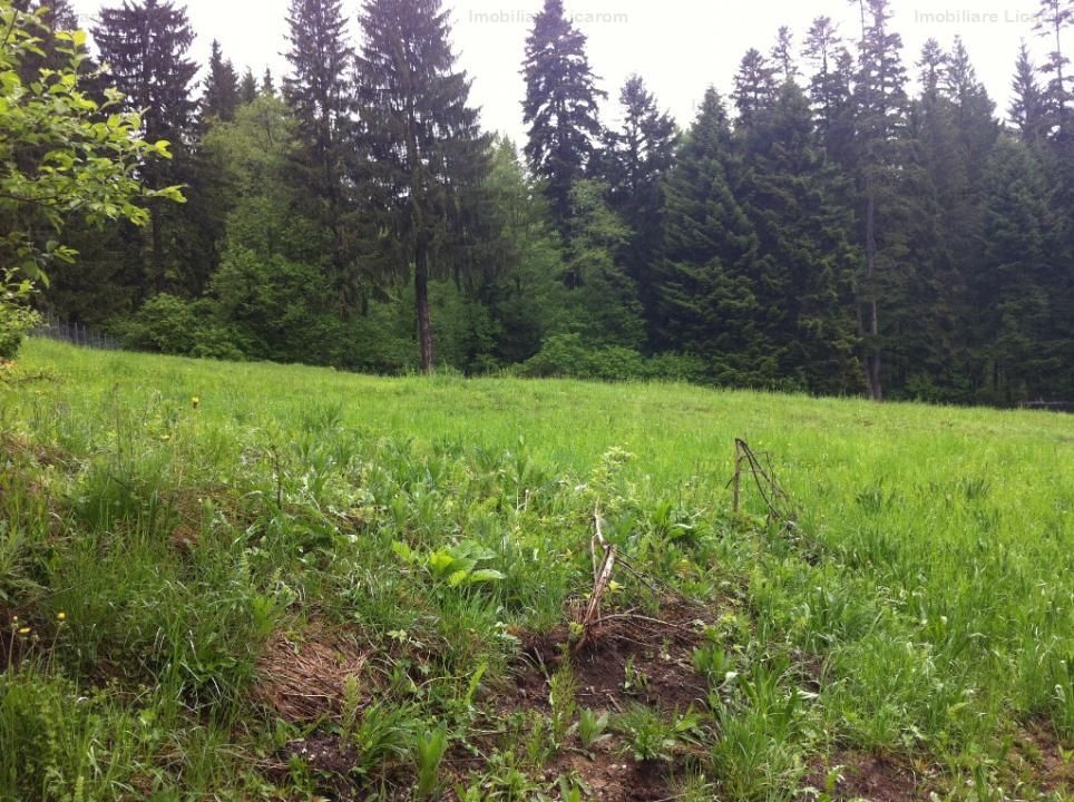 Teren intravilan Cotul Donului,pretabil Hotel/pensiune. - Poză 12