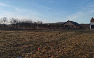 Teren 3500 mp-livada-Rusu Bargaului 13km de Bistrita - Poză 3