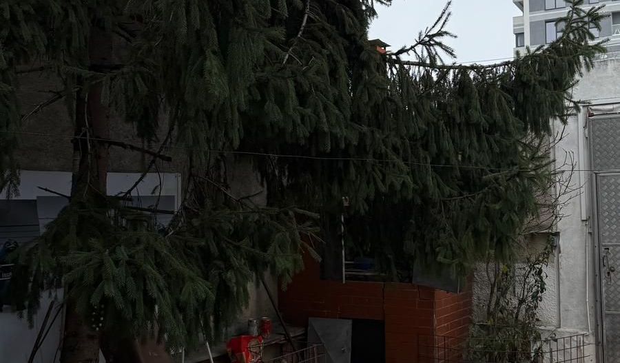 URGENT!, singur curte, constructie 1998, NEGOCIABIL - Poză 4