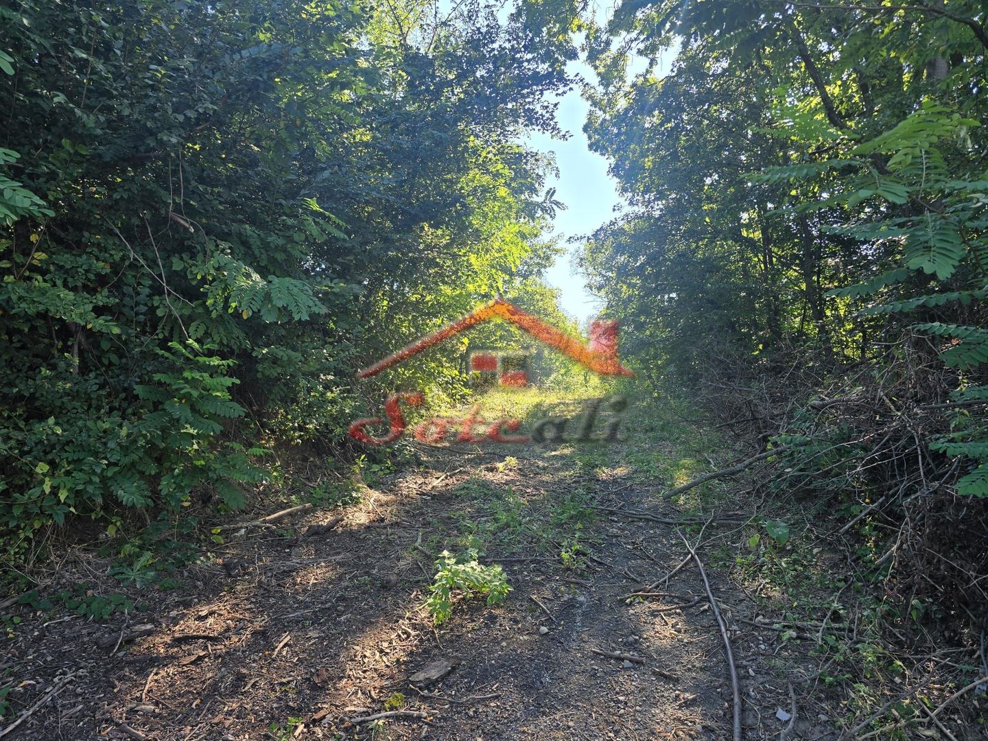 Teren intravilan de vanzare Cornu - Poză 7