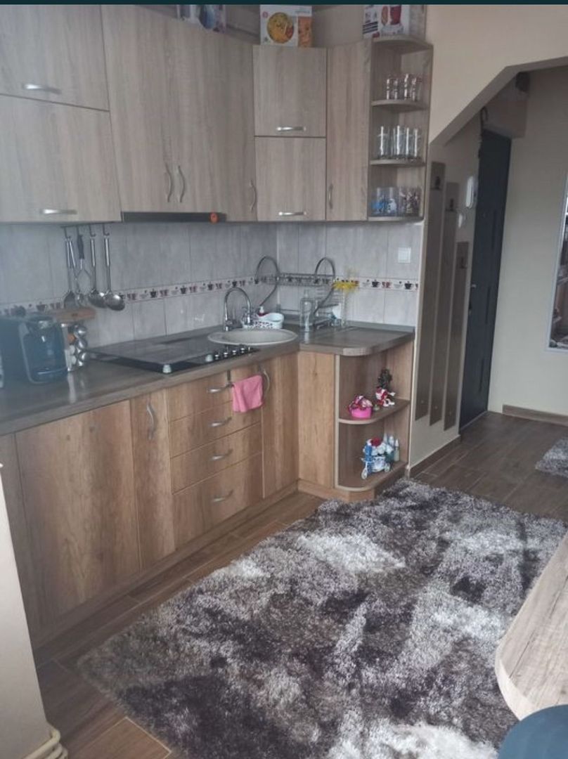Apartament cu 2 camere pe Drumul Careiului - Poză 4