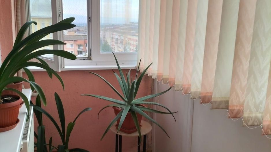 Inchiriere apartamant Zona Cetate - Poză 1