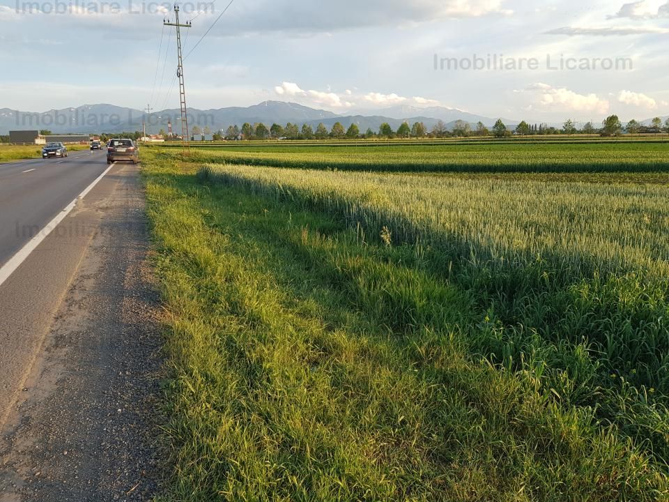 Teren Stupini Calea Feldioarei 4600 mp,22 euro/mp, front la asfalt - Poză 1