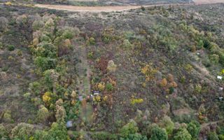 Teren 18,300mp Ghioroc - Poză 3