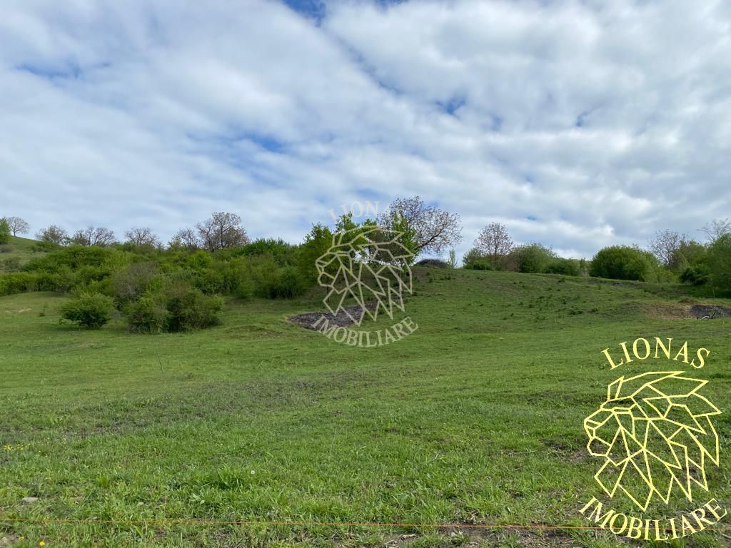 Teren Extravilan - Ghinda - 3.5000mp-Parcelabil - Poză 2