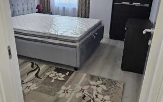 Apartament 2 Camere CONEST EVOLUTION - 500 euro - Poză 2