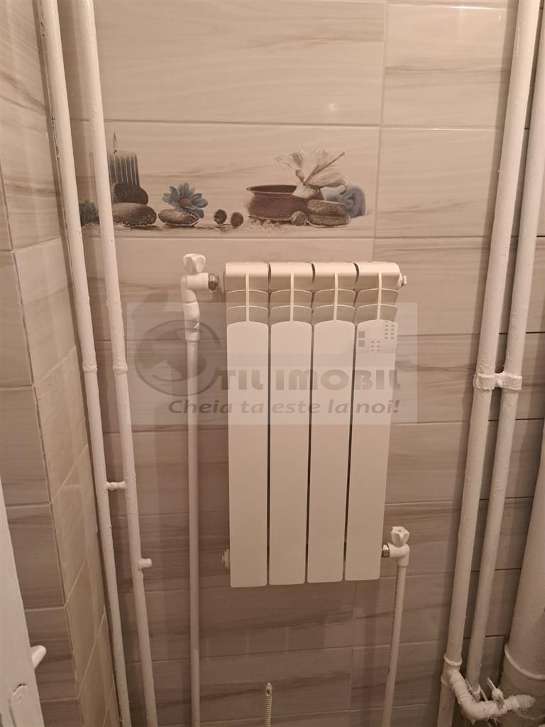 Apartament 1 Camera Decomandat - 335 euro - Poză 7