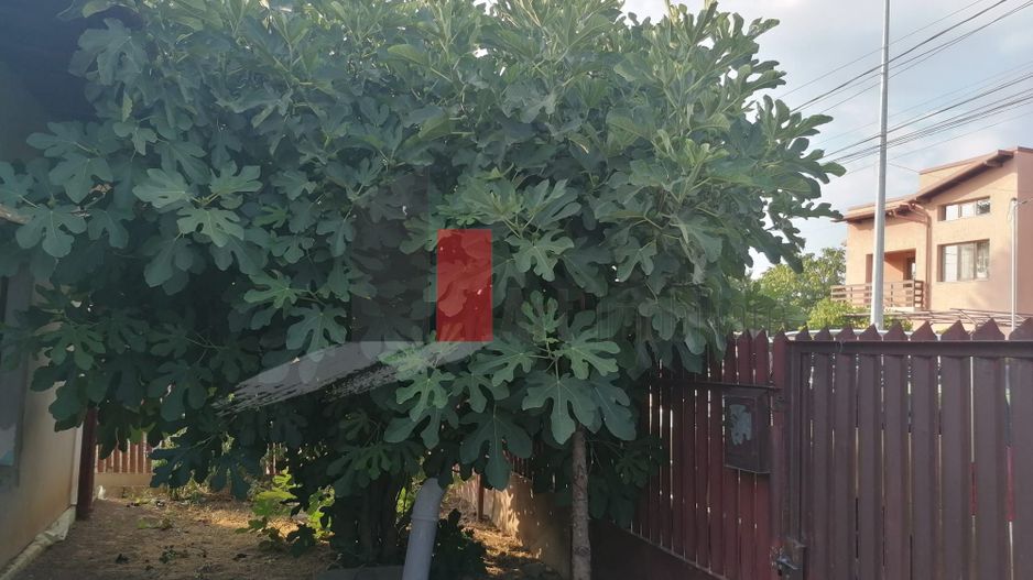 Voluntari - casa cu Teren 309 mp -  ZERO comision cumparator - Poză 7