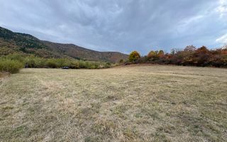 Teren de vânzare 5.000 mp | Poplaca | lângă pădure - Poză 2