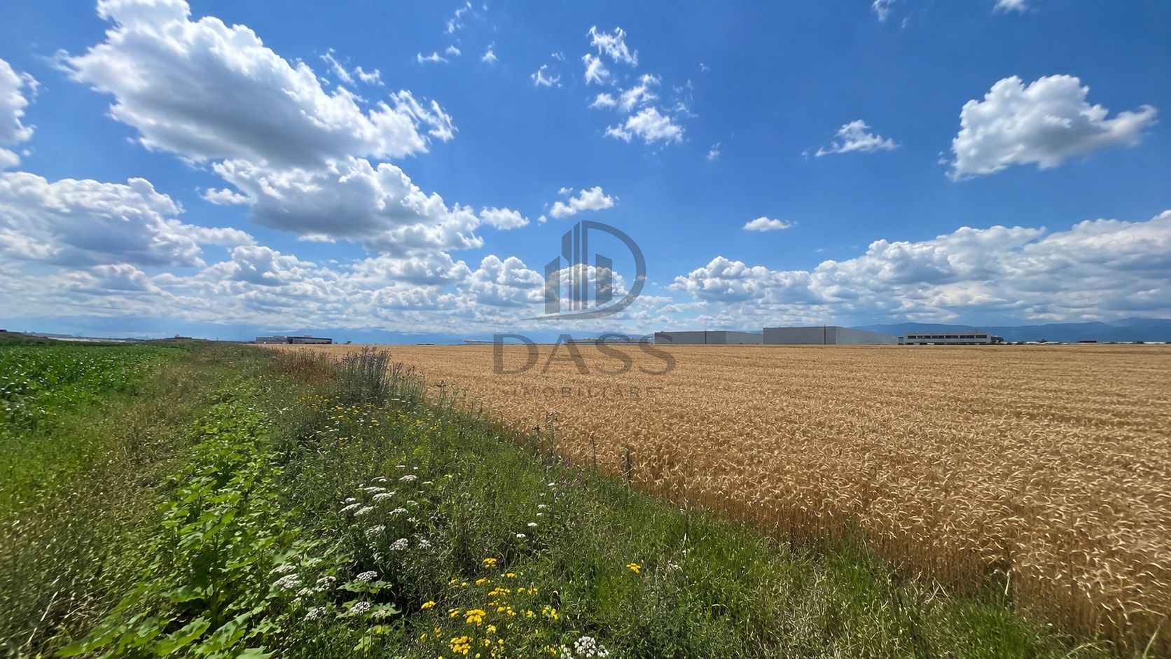 Teren intravilan 38.676 mp | 10 parcele | Zona de Vest - Poză 3