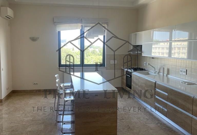APARTAMENT CU 4 CAMERE LANGA ARCUL DE TRIUMF - Poză 3