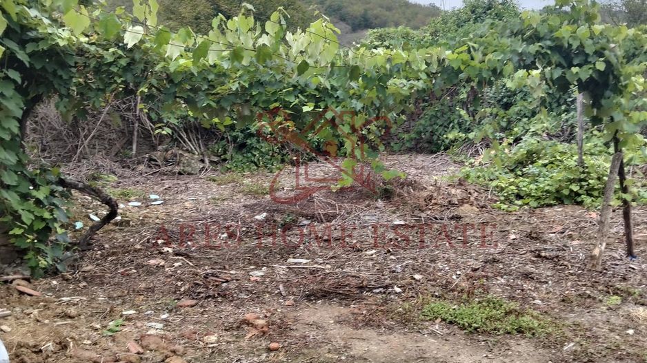 Casa spatioasa | 1500 mp teren - Ticvaniu Mare CS - Poză 10