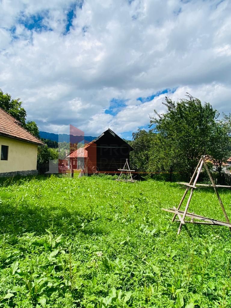 Teren 5879 mp + casa batraneasca Moieciu de jos - Poză 13