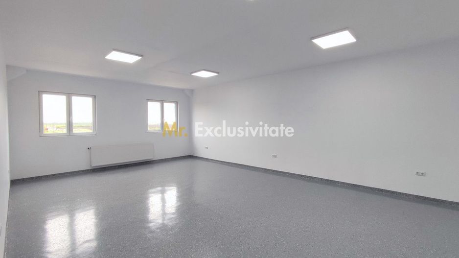 Inchiriere Spații de Birouri/Producție - Str. Uzinei - Carei - Comision 0% - Poză 4
