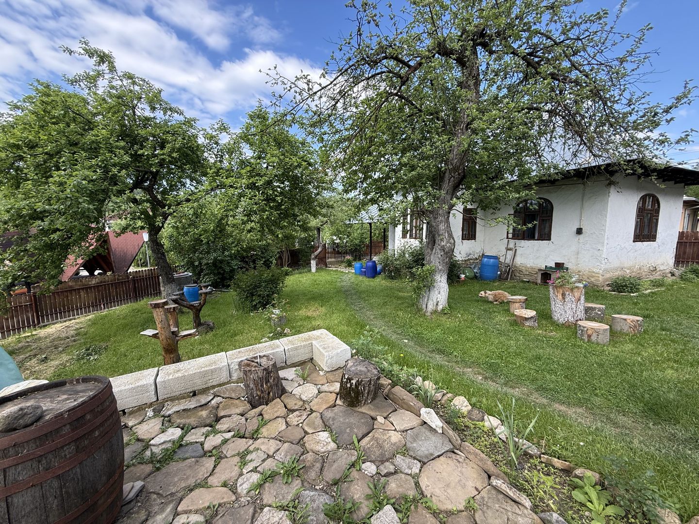 2 Case + teren 1390 mp langa parcul central Provita de Sus - Poză 36