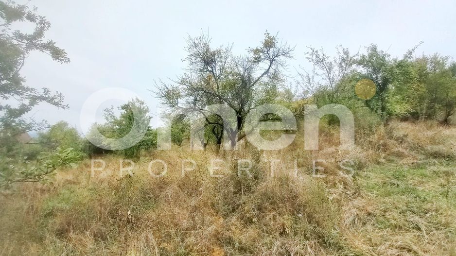 Teren 58 arii cu deschidere la drumul principal – Miron Costin - Poză 5