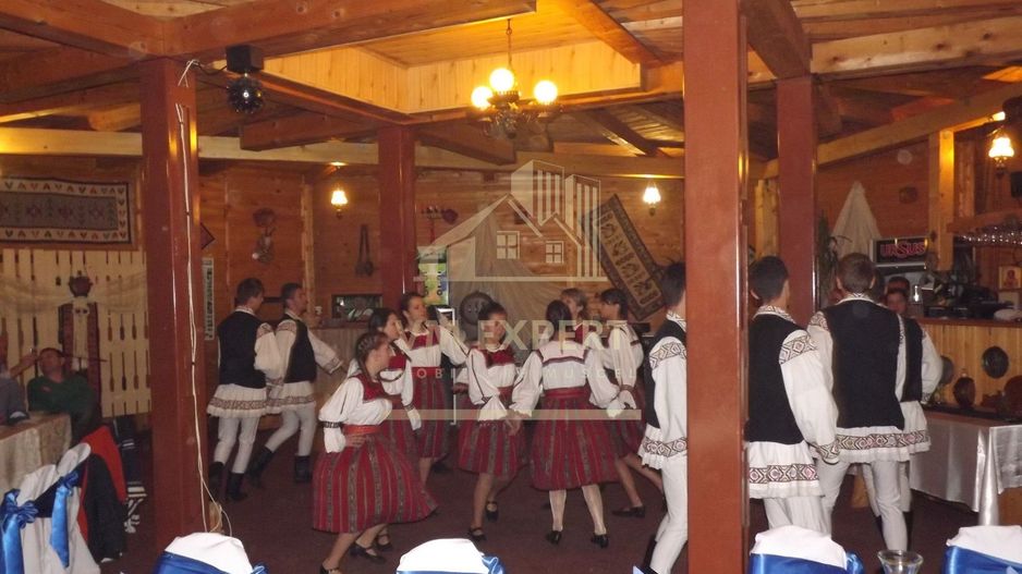 VILA - PENSIUNE CU RESTAURANT + SI TEREN 6406 MP, VALEA MARE PRAVAT, - Poză 8