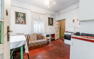 Casă + livadă tânără + curte 2.500 mp în Dorobanți - Poză 6