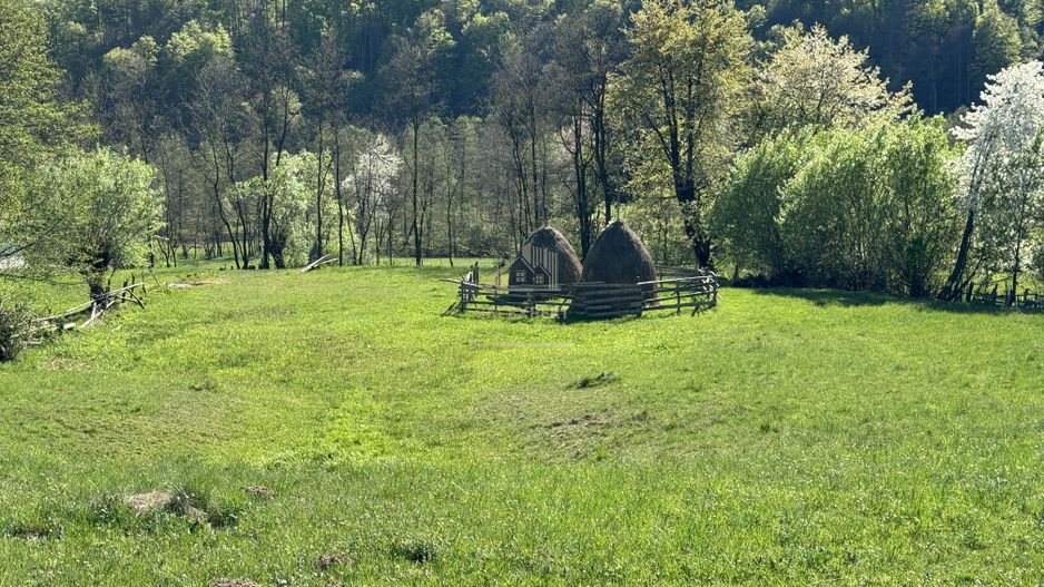 TEREN INTRAVILAN 2592 MP,  ALBESTI DE MUSCEL, ARGES - Poză 11