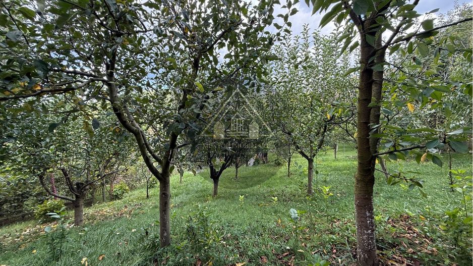 Casa de 3 camere, Medias. - Poză 23