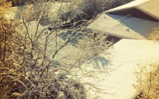 Apartament 3 camere + 1 birou,  Cotroceni, curte si gradina, metrou Eroilor - Poză 21