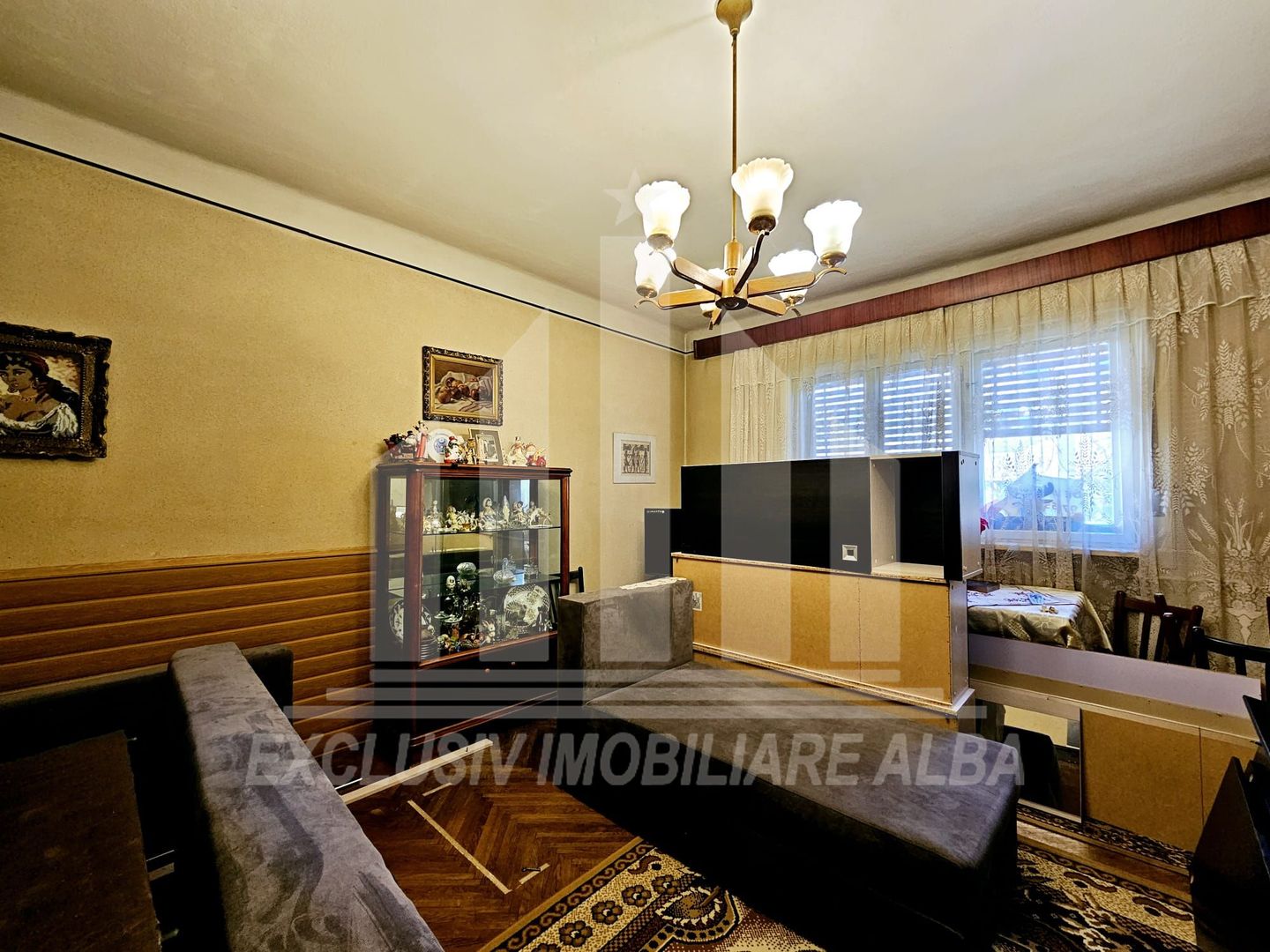 Casa individuala de vanzare, Cetate - Poză 2