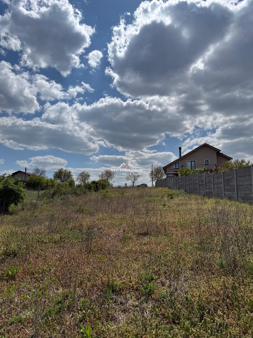 NECTORA IMOB-Teren Intravilan, Str. Piersicilor, 1165 mp, Utilitati - Poză 5