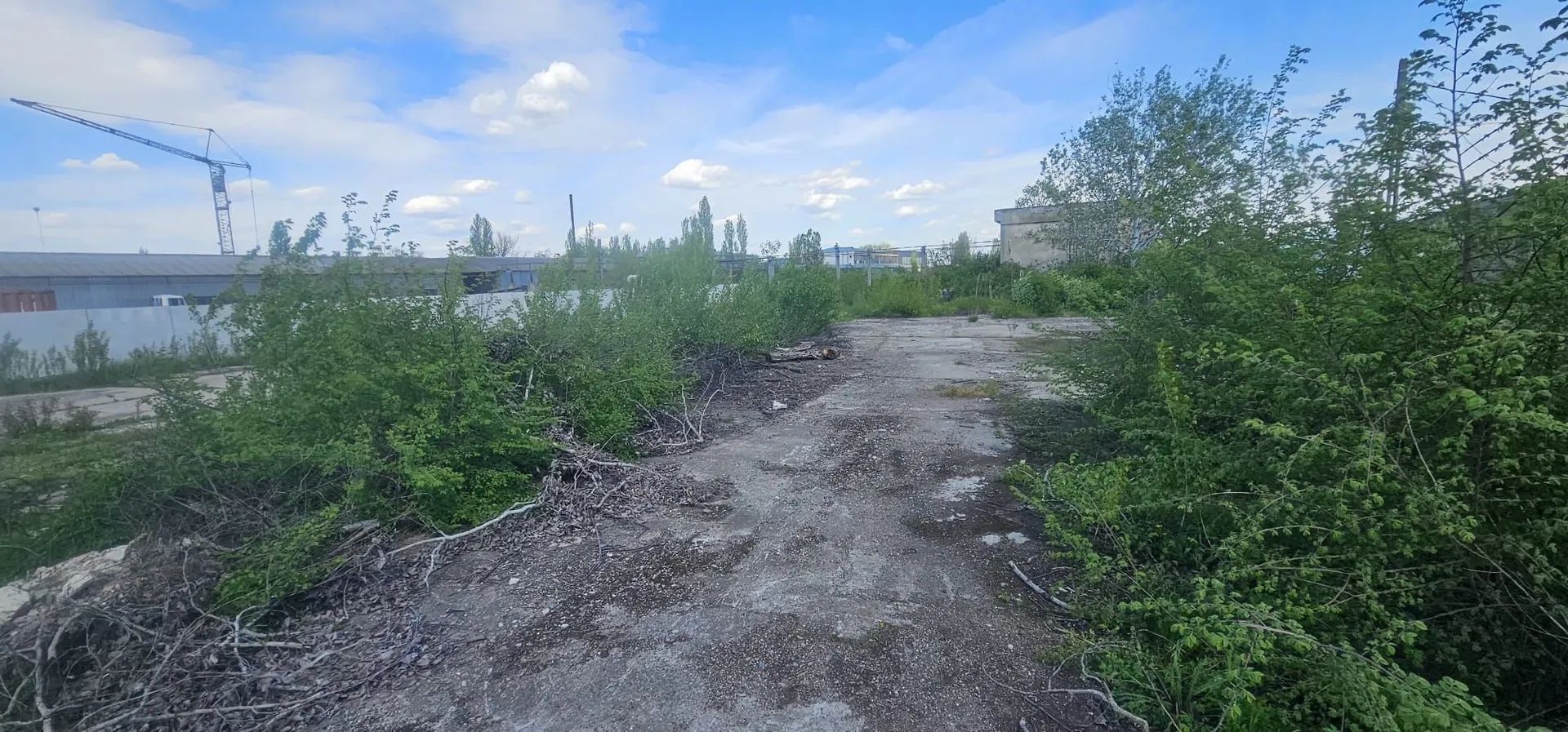 DE ÎNCHIRIAT – TEREN INTRAVILAN 2.077 MP - ZONA INDUSTRIALA - STR. MACULUI - Poză 6