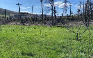 CASA 5 CAMERE TEREN 7500 MP CAMPULUNG - Poză 42