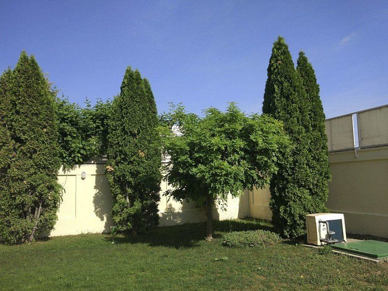 Villa for rent | 10 rooms | Pipera - Poză 2