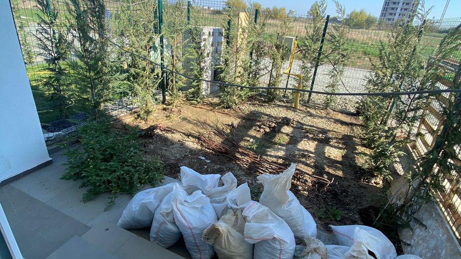 Giroc-Neptun | 3 Camere | Curte proprie | Decomandat | Lift | Disponibil imediat - Poză 10