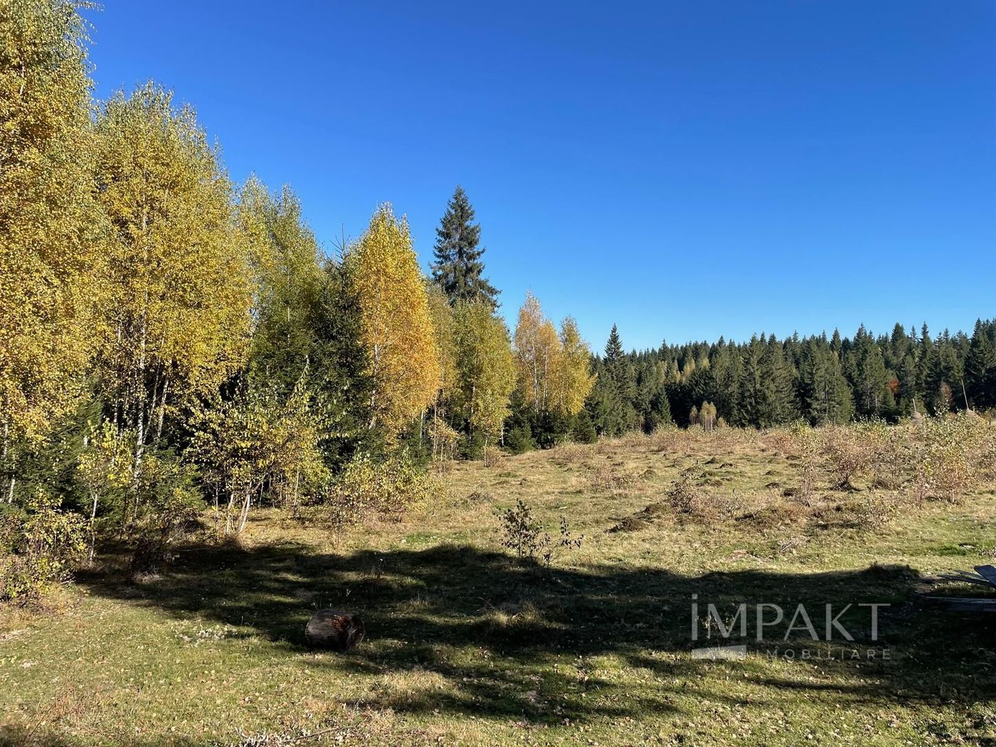 Teren intravilan de 2001 mp în Calatele Padure, comuna Calatele! - Poză 4